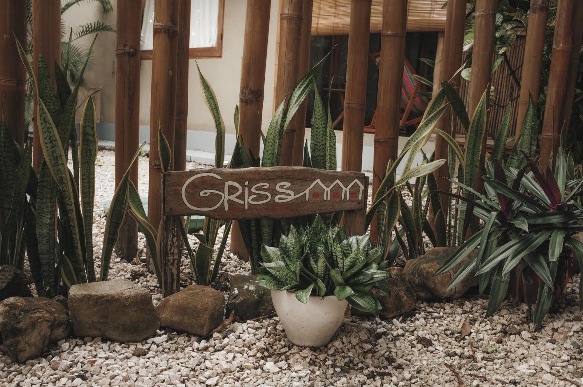 Griss Lodge & Spa Playa Santa Teresa  Zewnętrze zdjęcie