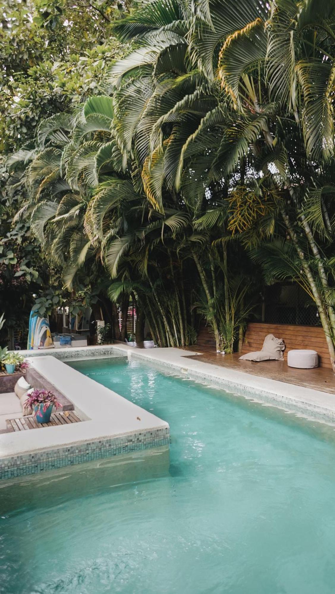 Griss Lodge & Spa Playa Santa Teresa  Zewnętrze zdjęcie