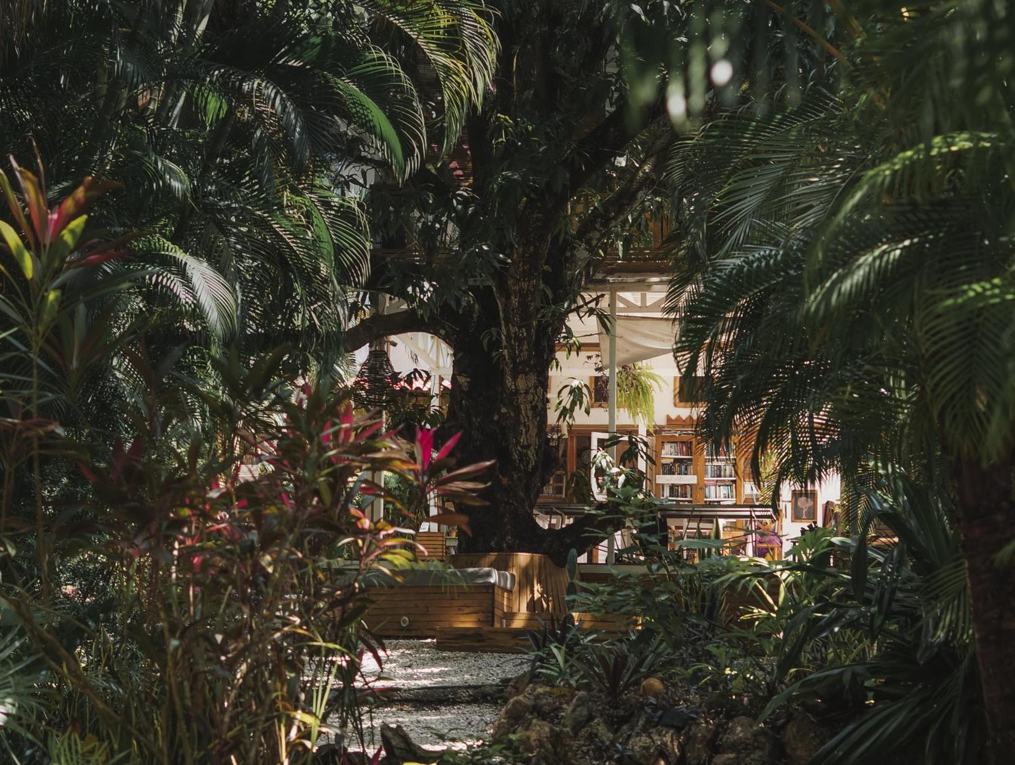 Griss Lodge & Spa Playa Santa Teresa  Zewnętrze zdjęcie